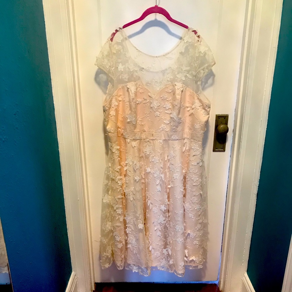 Chi Chi London light pink party dress with fluttery flowers